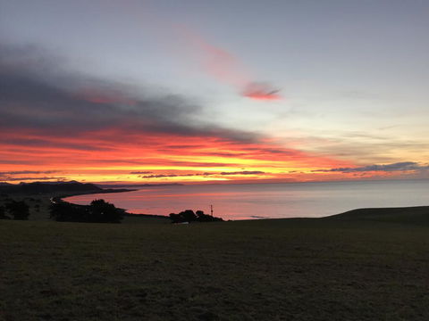 The Cove Tasmania - ACT Tourism 1