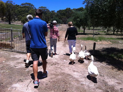 The Farm Willunga - ACT Tourism 1
