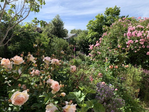 The Racecourse Inn - ACT Tourism 2