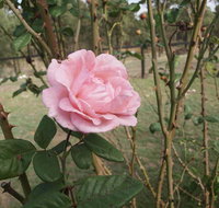 The Table Guest House - ACT Tourism