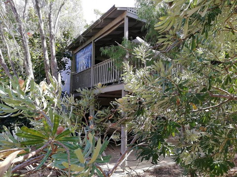 The Treehouse In Dawesville - ACT Tourism 2