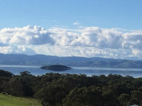 Tidal Dreaming Seaview Cottages - ACT Tourism 3