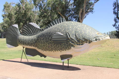 Tocumwal Hotel Motel (The Palms) - ACT Tourism 1