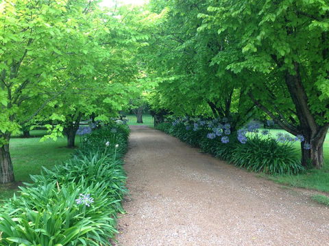 Toscana On Greenhills - ACT Tourism 1