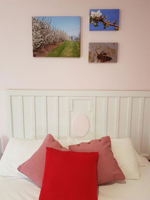 Town House Motor Inn Young - ACT Tourism 1