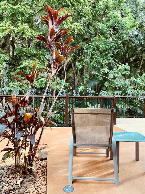 Tranquil Setting In Buderim - ACT Tourism 3