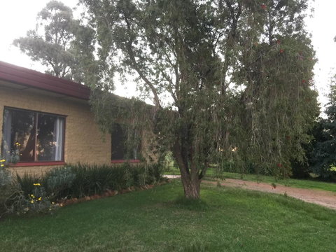Tree Of Love Farm Stay - ACT Tourism 1