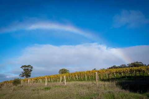Triple Creek Guest House - Barossa Region - ACT Tourism 2