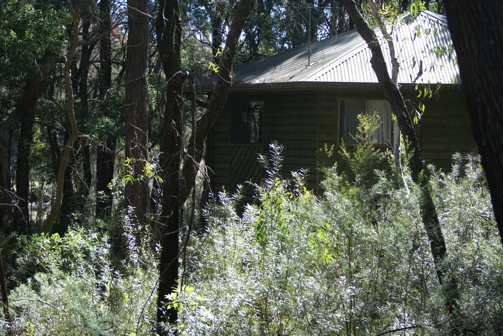 Fitzroy Falls NSW ACT Tourism