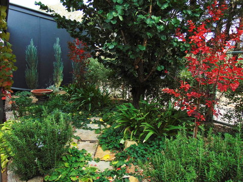 Twin Palms Castlemaine - ACT Tourism 1