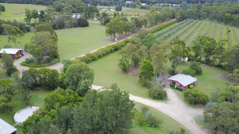 Twin Trees Country Cottages - ACT Tourism 0