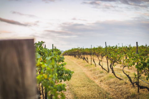Unlax @ Hunter Valley - ACT Tourism 3