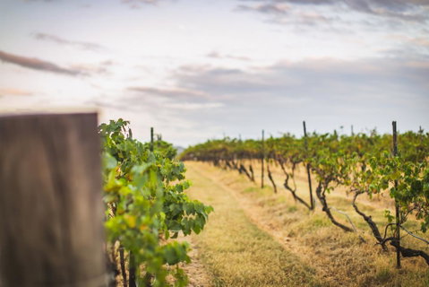 Unlax @ Hunter Valley - ACT Tourism 3