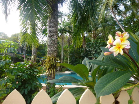 Villa Marine Holiday Apartments Cairns - ACT Tourism 1