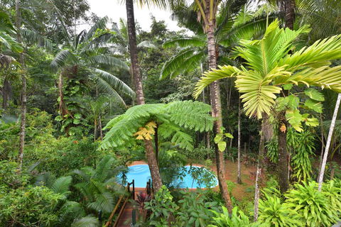 Wait A While Daintree - ACT Tourism 3
