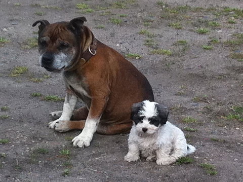 Walcha Royal Cafe & Accommodation - ACT Tourism 3