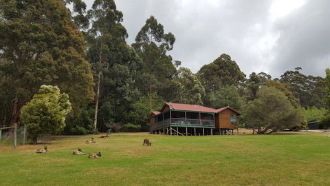 Walpole Wilderness Resort - ACT Tourism 0