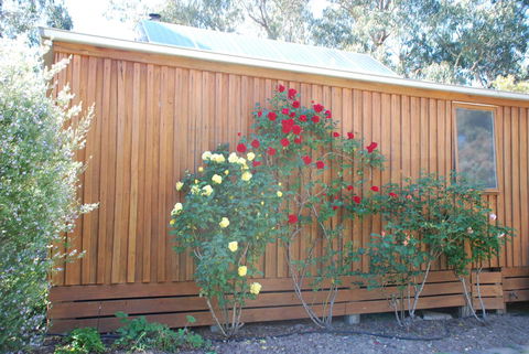 Bluegum Ridge Cottages - ACT Tourism 23