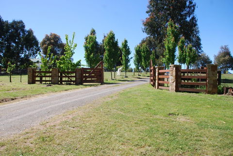 Bluegum Ridge Cottages - ACT Tourism 2