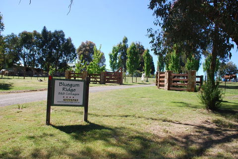 Bluegum Ridge Cottages - ACT Tourism 1