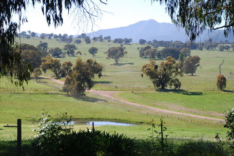 Bluegum Ridge Cottages - ACT Tourism 31