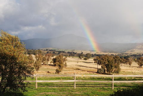 Bluegum Ridge Cottages - ACT Tourism 32