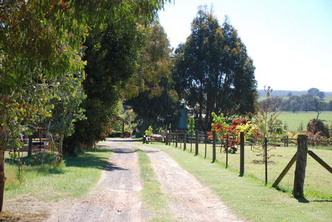 Bluegum Ridge Cottages - ACT Tourism 4