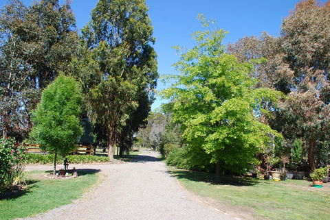 Bluegum Ridge Cottages - ACT Tourism 5