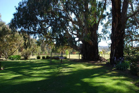 Bluegum Ridge Cottages - ACT Tourism 29