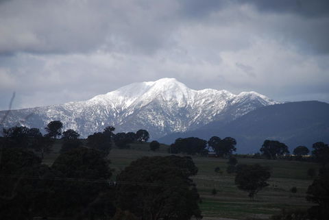 Bluegum Ridge Cottages - ACT Tourism 35