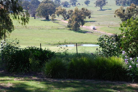 Bluegum Ridge Cottages - ACT Tourism 30