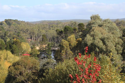 The Orchard - ACT Tourism 28