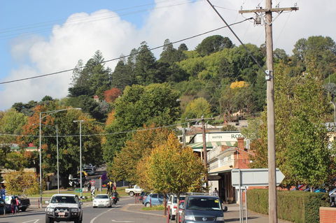 The Orchard - ACT Tourism 35