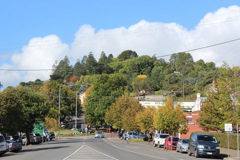 The Orchard - ACT Tourism 29