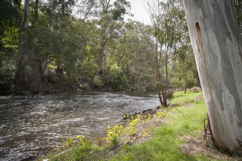 Oscar\'s On The Yarra - ACT Tourism 23