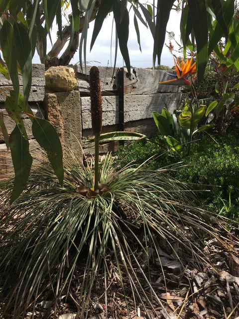 The PC Cottage - ACT Tourism 32