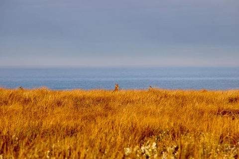 The PC Cottage - ACT Tourism 39