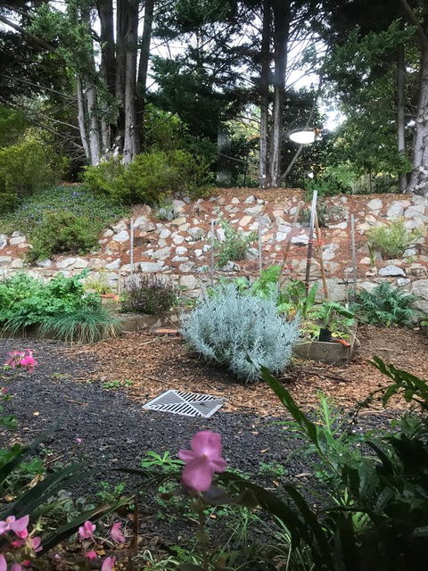 Alpine Aspects - ACT Tourism 11