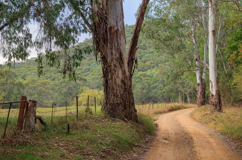 Alpine Aspects - ACT Tourism 10