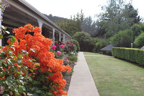 Alpine Aspects - ACT Tourism 34