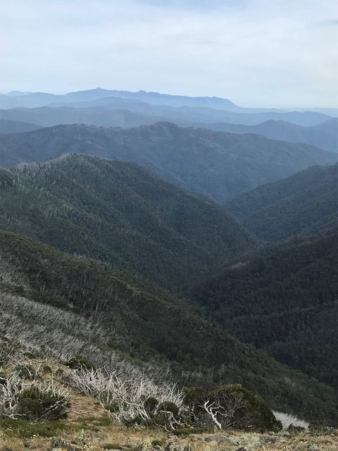 Alpine Aspects - ACT Tourism 9