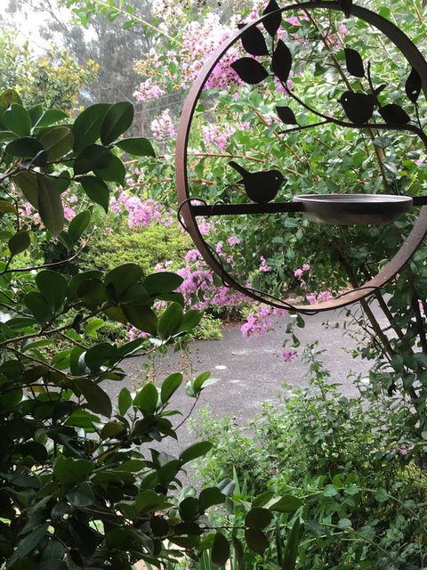 Alpine Aspects - ACT Tourism 3