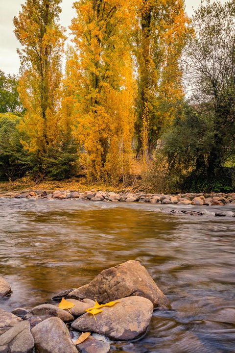 Alpine Aspects - ACT Tourism 6