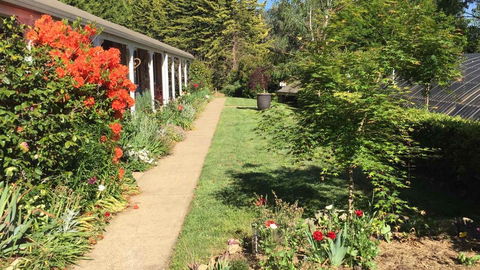 Alpine Aspects - ACT Tourism 4