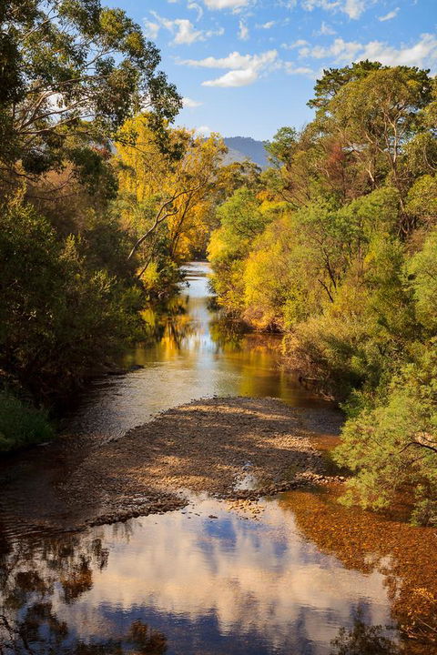 Alpine Aspects - ACT Tourism 31