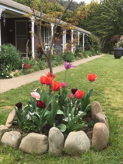 Alpine Aspects - ACT Tourism 7