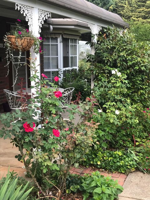 Alpine Aspects - ACT Tourism 30