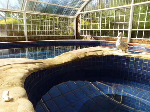 Alpine Aspects - ACT Tourism 38