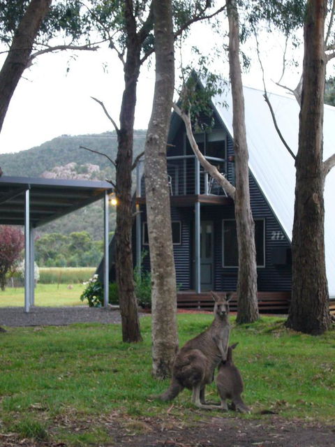 The A-Frame - ACT Tourism 1