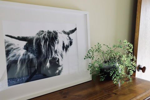 Red Ceder Cottage - Great Ocean Road - Port Campbell - ACT Tourism 5